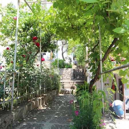 Sunny Garden Podgorica