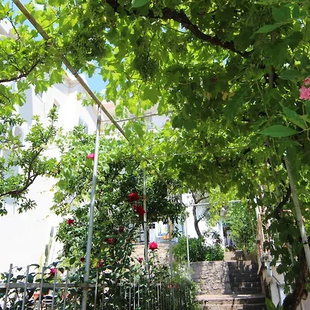 Sunny Garden